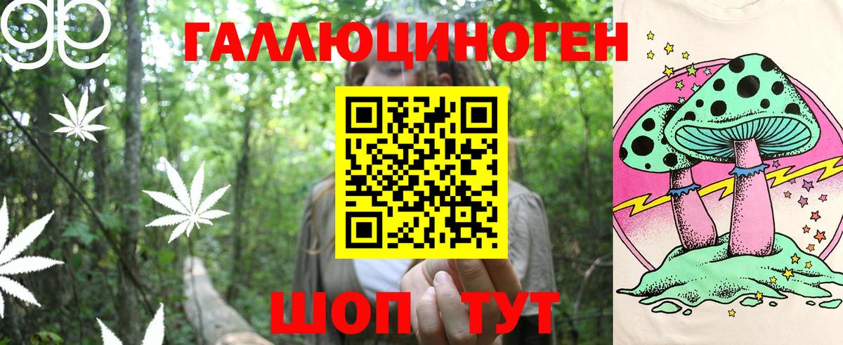 Щёлково  Галлюциногенные грибы Psilocybe  Вход с VPN 